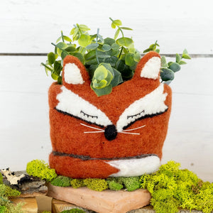 Felt Pots | Assorted